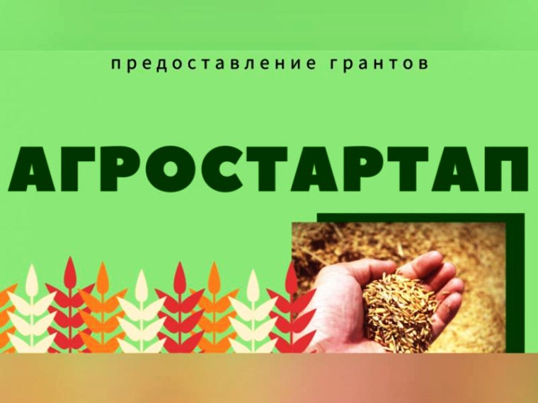 19.05