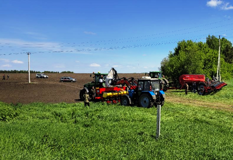 29.05